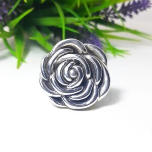 Anillos Plata Inflada
